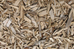 biomass boilers Carrutherstown